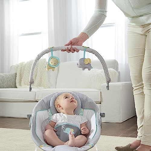 Ingenuity Soothing Infant Bouncer Chair - Morrison