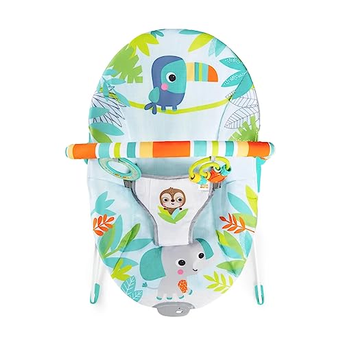 Bright Starts Baby Bouncer: Soothing Vibrations, Infant Seat