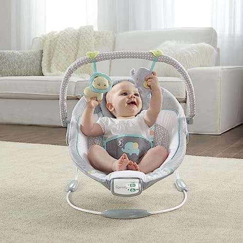 Ingenuity Soothing Infant Bouncer Chair - Morrison