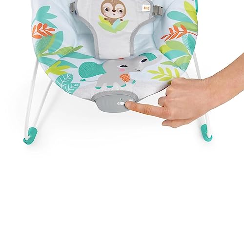 Bright Starts Baby Bouncer: Soothing Vibrations, Infant Seat