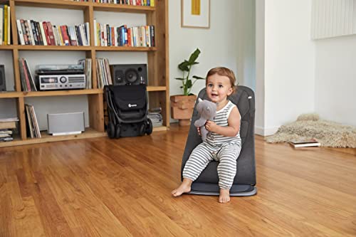 Ergobaby 3-in-1 Baby Bouncer, Newborn to Toddler