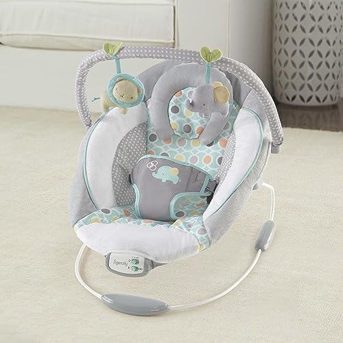 Ingenuity Soothing Infant Bouncer Chair - Morrison