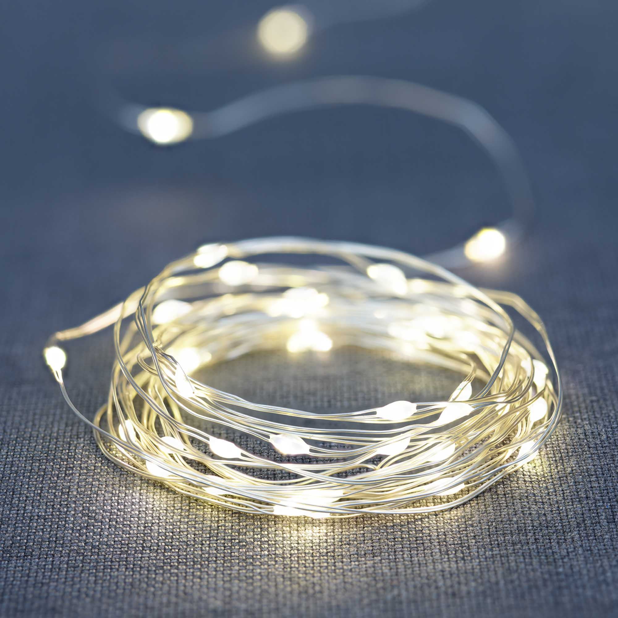 Indoor 50-Count LED Christmas Lights