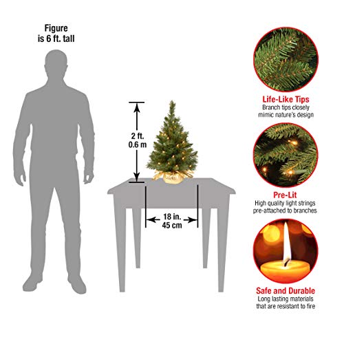 24" Majestic Fir Tree with Clear Lights for Christmas