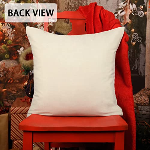 Farmhouse Christmas Pillow Covers Set of 4