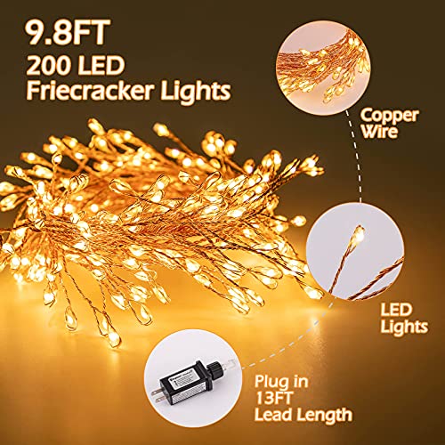 Christmas Cluster Lights, 10ft, 200 LED