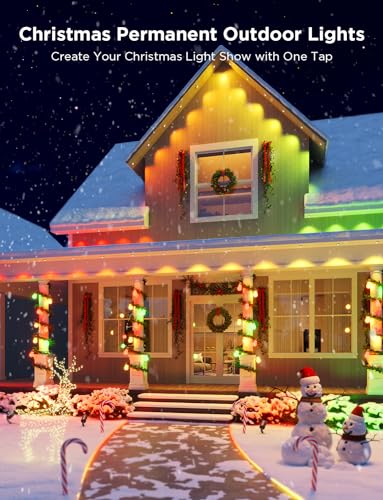 Smart RGBIC Outdoor Lights for Holiday Fun