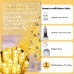 100 LED Warm White Christmas String Lights