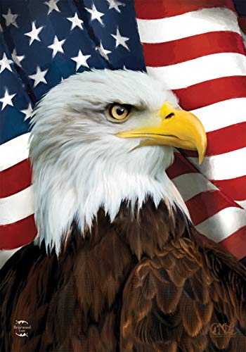 Patriotic Garden Flag - American Eagle