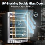 Phiestina 24-Inch Dual Zone Wine Cooler