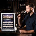 Phiestina 24-Inch Dual Zone Wine Cooler
