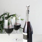 Stainless Steel Wine Filter Pour Spout & Stopper