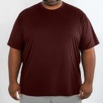 Big and Tall Cooling Workout T-Shirt in Wine Red