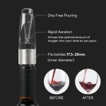 2-in-1 Wine Aerator Pourer and Stopper