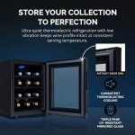 Compact 12-Bottle Thermoelectric Wine Fridge