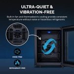 Compact 12-Bottle Thermoelectric Wine Fridge