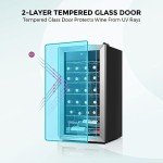 28-Bottle Wine Fridge with Adjustable Temperature