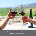 PureWine Wine Wands: 8 Filters for Allergy Relief