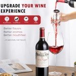 Deluxe Red Wine Aerator Decanter for Wine Lovers