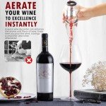 Deluxe Red Wine Aerator Decanter for Wine Lovers