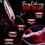 Sevoryx Premium Wine Aerator Pourer with E-Book