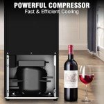 12 Bottle Wine Cooler with Digital Control