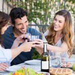 Premium Wine Aerator Spout - Pour and Decant