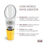 Premium Wine Aerator Pourer Set (2-pack)