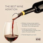 Premium Wine Aerator Pourer Set (2-pack)