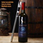 Stainless Steel 3-in-1 Wine Chiller and Aerator