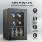 Elegant Mini Wine Cooler with Glass Door