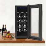 12-Bottle Black Wine Cooler Fridge for Champagne