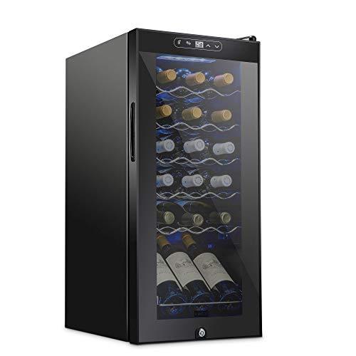 Lockable Wine Refrigerator for 18 Bottles