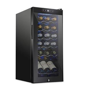Lockable Wine Refrigerator for 18 Bottles