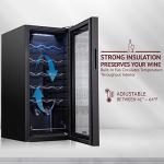 Lockable Wine Refrigerator for 18 Bottles