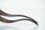 Antique English Single Lever Corkscrew Wine Opener