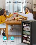 Mini Beverage Fridge for Wine and Beer