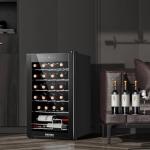 24-Bottle Mini Fridge Wine Cooler with Digital Control
