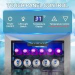 Mini Fridge for Beer, Soda, and Wine