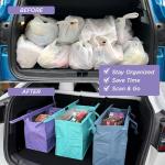 Large Rolling Wine Tote with Insulated Cooler