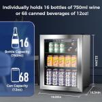 Mini Fridge for Beer, Soda, or Wine
