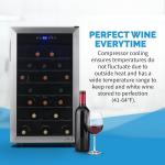 Newair 50-Bottle Freestanding Wine Fridge