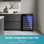 Compact 45-Bottle Wine Cooler Refrigerator