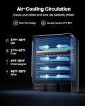 24 Can Beverage and Wine Refrigerator with Glass Door