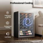 Ca'Lefort 46-Bottle Wine Cooler Refrigerator