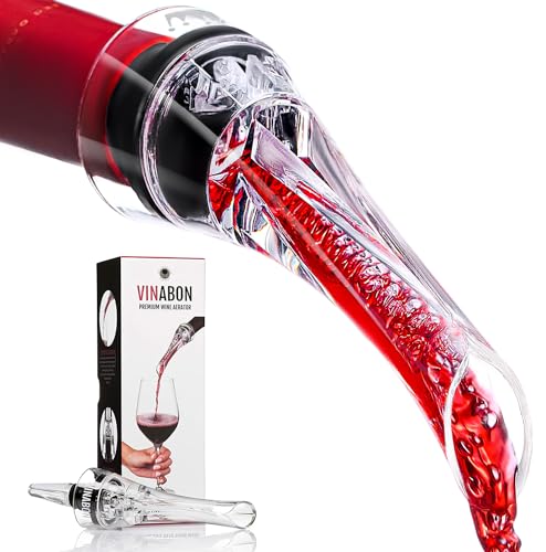 2-in-1 Professional Wine Aerator Pourer Spout