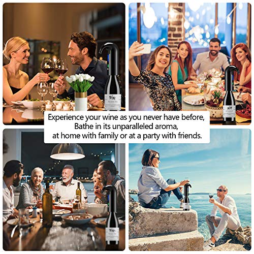 Electric Wine Aerator and Dispenser Set