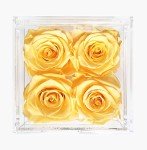 Everlasting Roses Gift Set - Perfect for All Celebrations