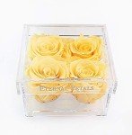 Everlasting Roses Gift Set - Perfect for All Celebrations