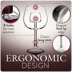 CHEVALIER Collection Wine Aerator Glasses - Set of 2